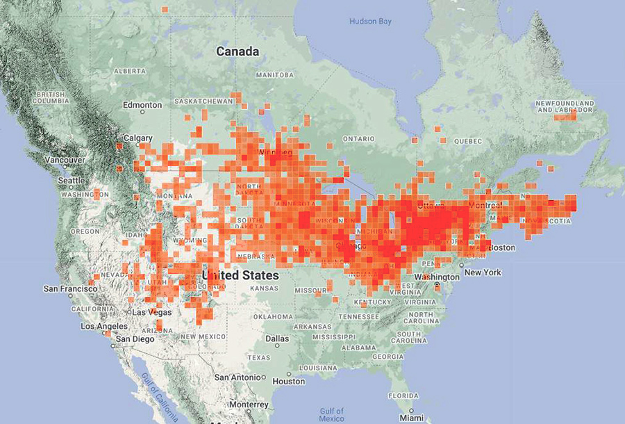 Map of leopard frog distribution