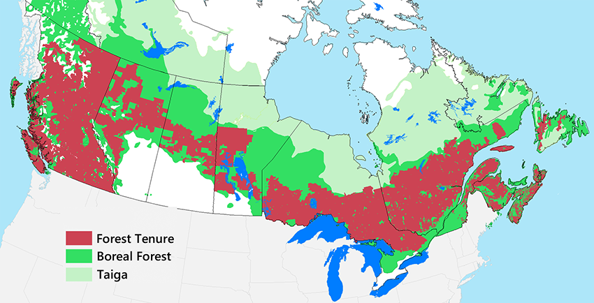 Map of forest tenure