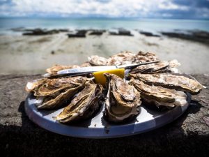 Oysters on a plate in front of the ocean.