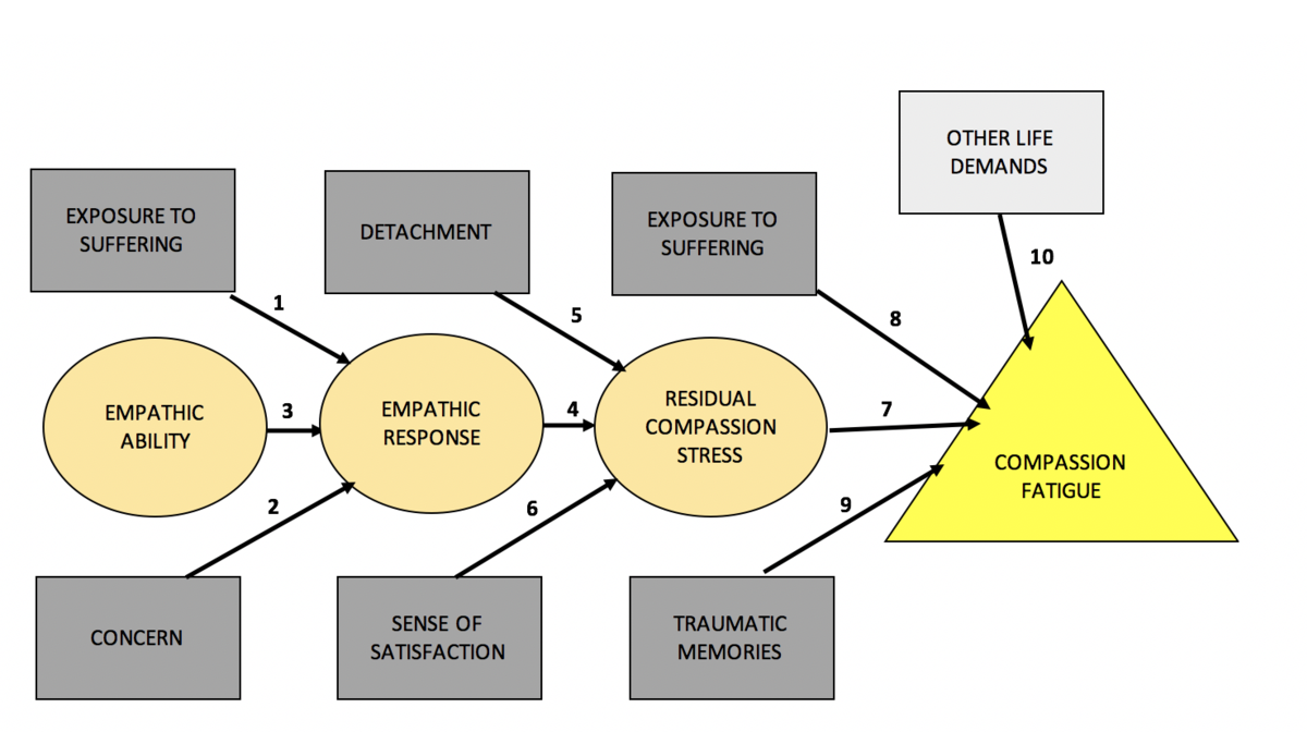 Figure 1 depicts the factors that lead to compassion fatigue. The factors are as follows: exposure to suffering, concern, empathetic ability, detachment, sense of satisfaction, empathetic response, residual compassion stress, traumatic memories, and other life demands. Some factors build upon each other, and all lead to compassion fatigue.