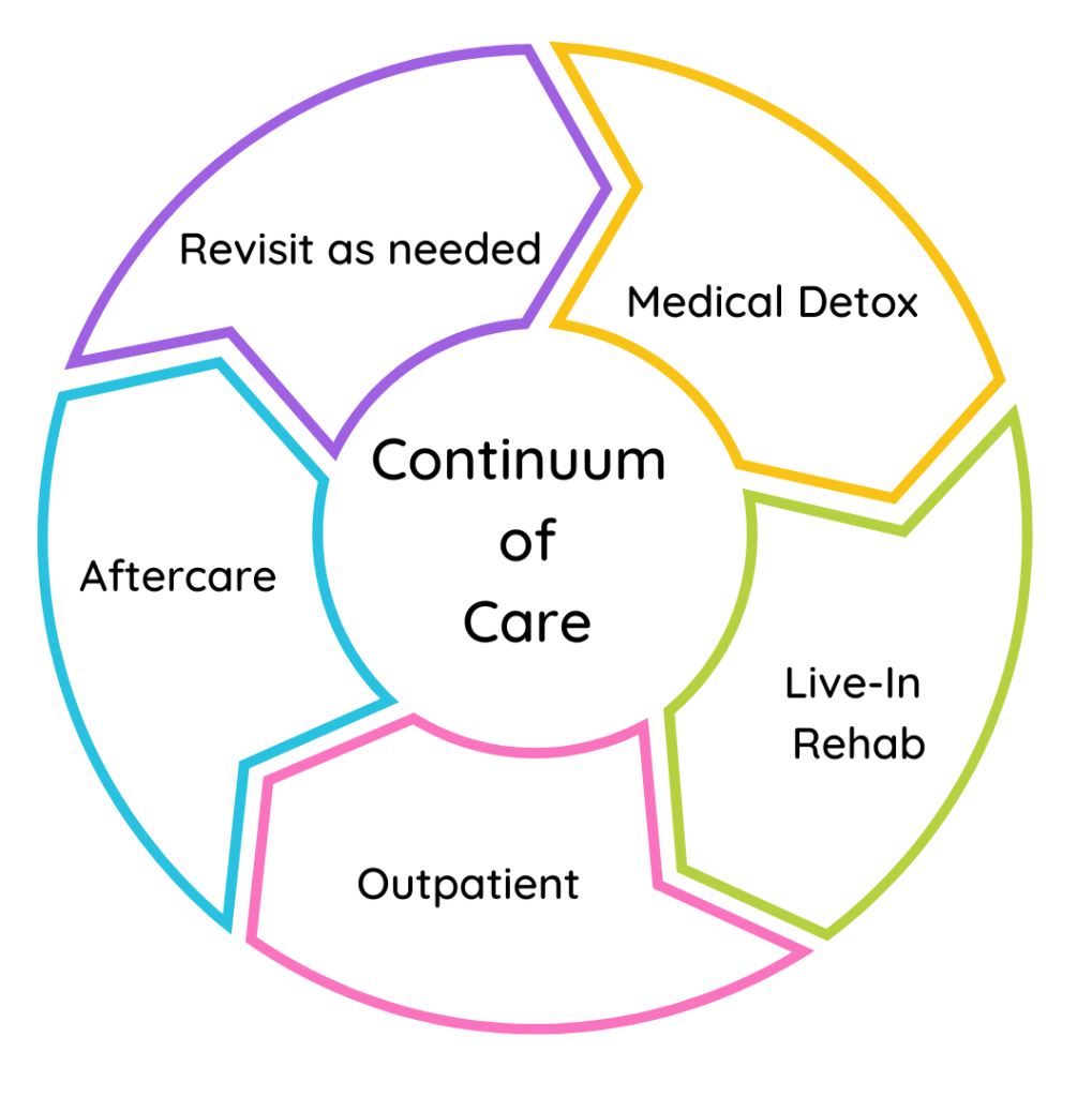 Figure 6 depicts the continuum of care, a circle composed of five sections. The centre of the circle reads Continuum of Care. The sections of the circle, starting from the top and going clockwise, read: medical detox; live-in rehab; outpatient; aftercare; and revisit as needed. Each section is a different colour.