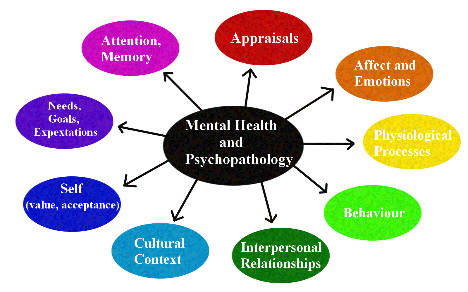 Figure 2 depicts the different factors that affect mental health and psychopathology. In the centre of the image, a bubble is labelled “mental health and psychopathology.” This bubble has arrows pointing to a circle of other bubbles, in all rainbow colours. Clockwise, the other bubbles read: appraisals; affect and emotions; physiological processes; behaviour; interpersonal relationships; cultural context; self (value, acceptance); needs, goals, expectations; and attention, memory.