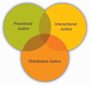 A Venn diagram of three circles that overlap. The overlap areas have no text. The three circles are labeled: procedural justice, interactional justice, and distributive justice.
