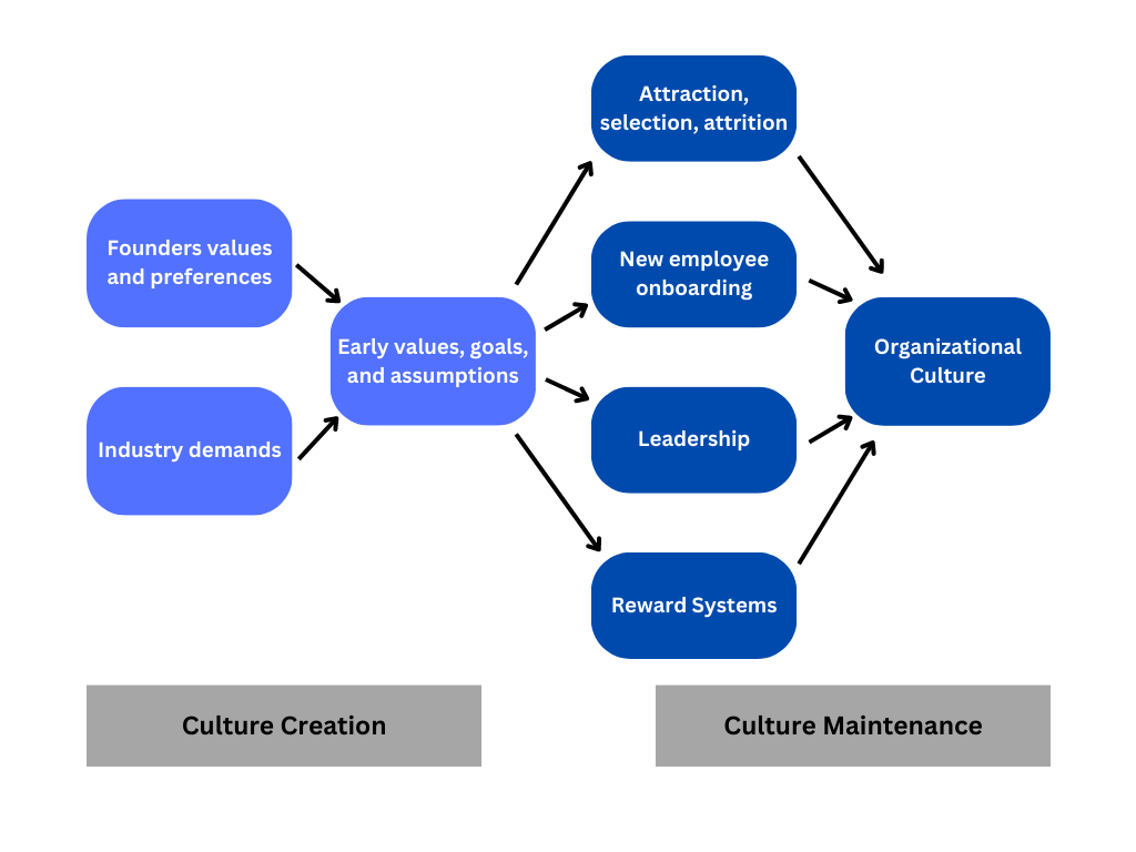 Culture creation involves "founders values and preferences" and "industry demands" leading to "early values, goals, and assumptions". Culture maintenance involves "Attraction, selection, attrition", "new employee onboarding", "leadership", and "reward systems", leading to "organizational culture".