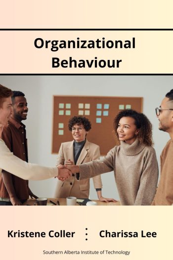 Cover image for Organizational Behaviour