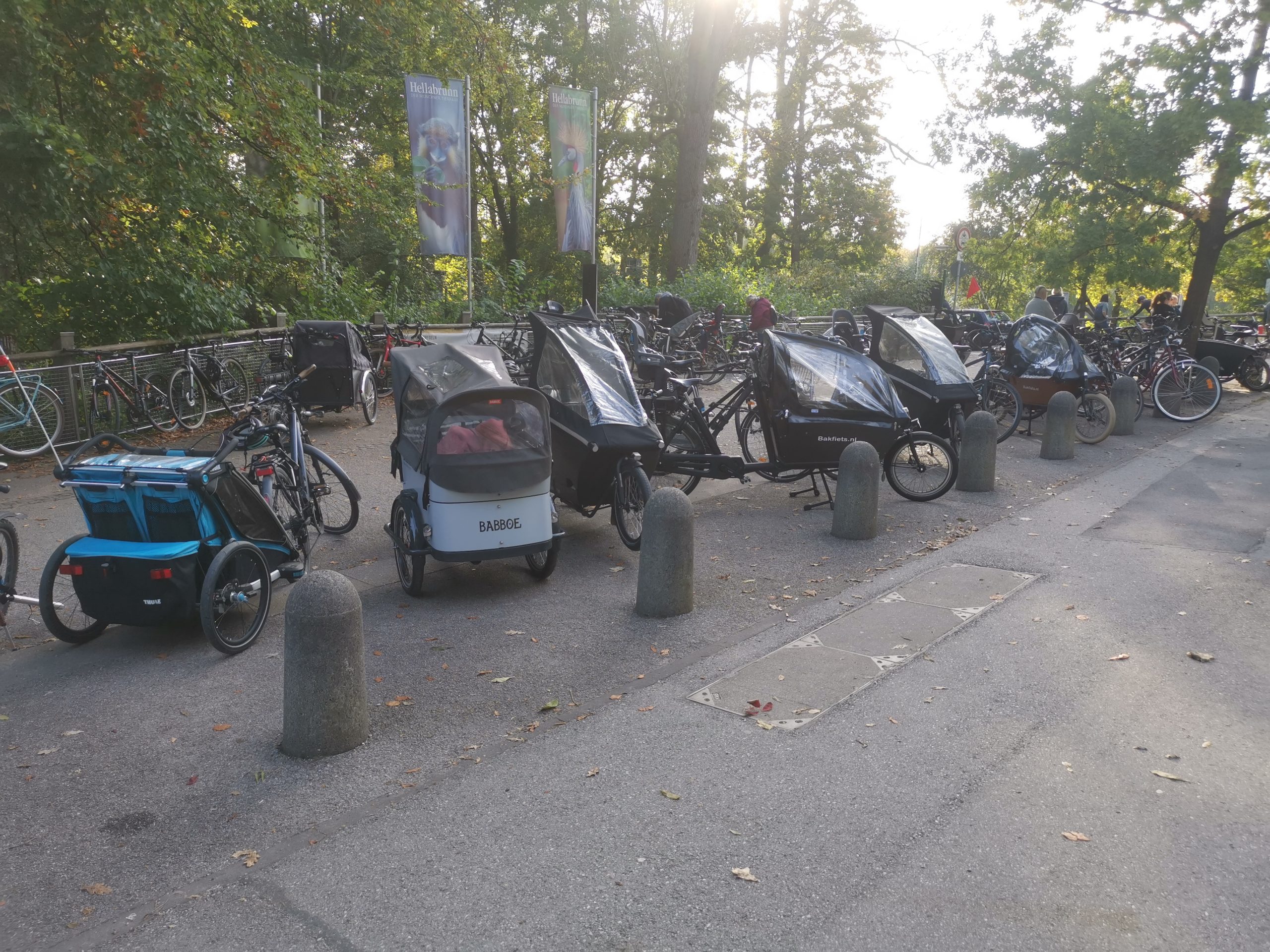 Cargo bikes