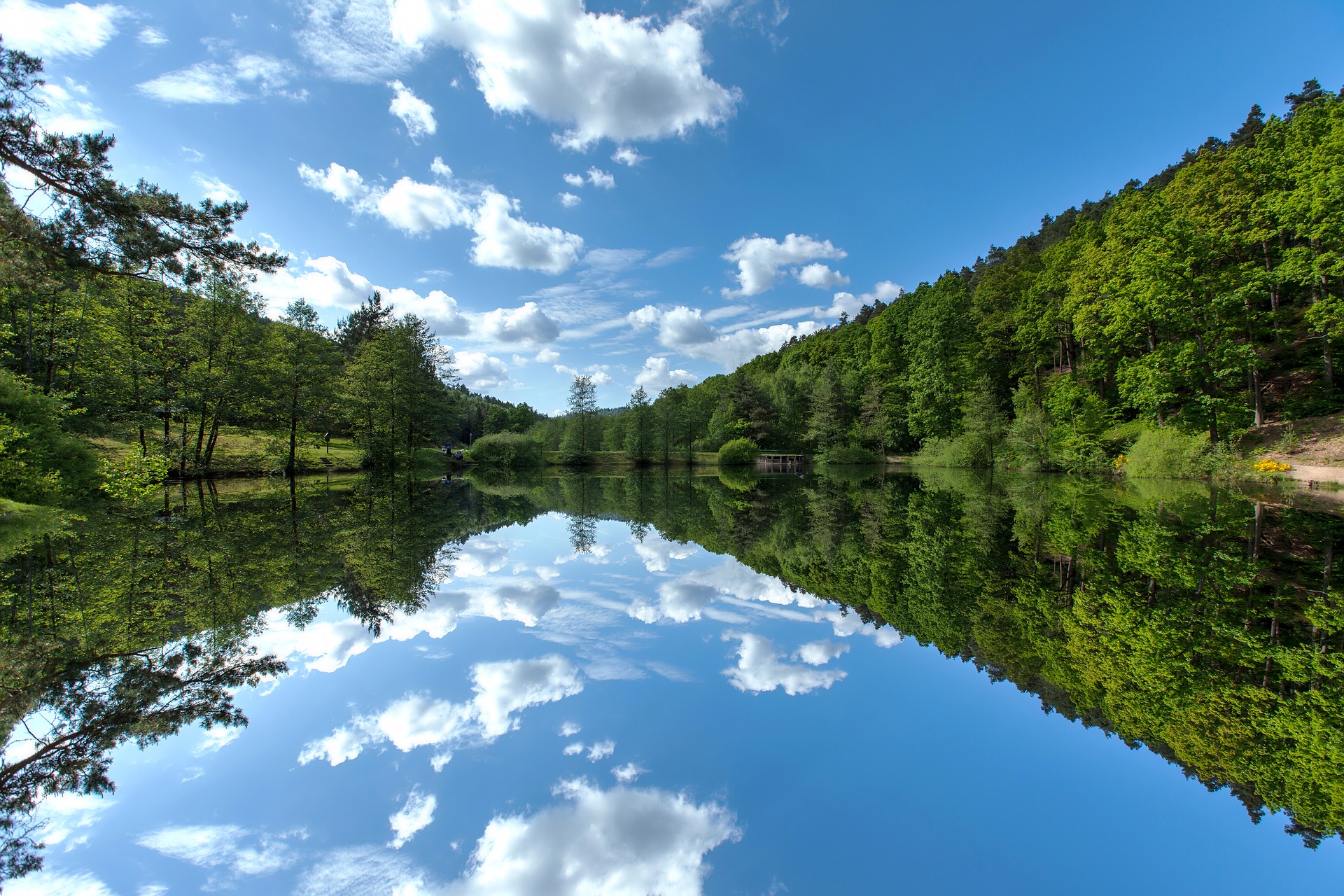 Schwarzwald (lake and hills covered in trees)