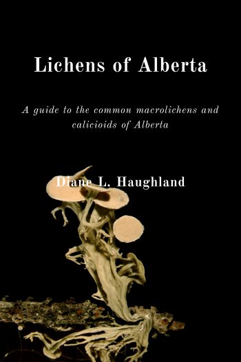 Cover image for Lichens of Alberta