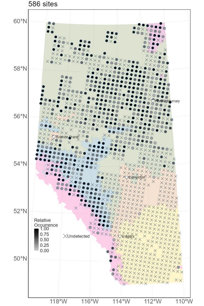 Cladonia cenotea ABMI detections 2003-2022