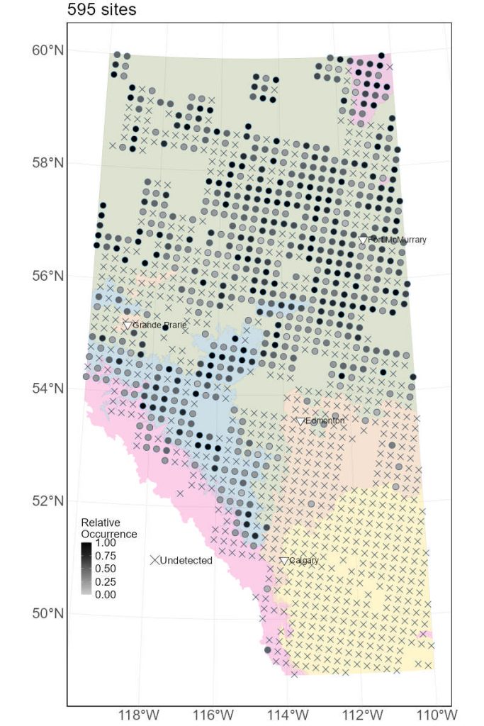 Cladonia botrytes ABMI detections 2003-2022
