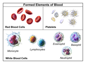 formed blood elements, including red blood cells, platelets and white blood cells