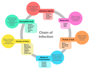 chain of infection in a graphic form with all links in a circle format
