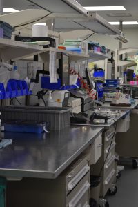 assembly area in the MDRA