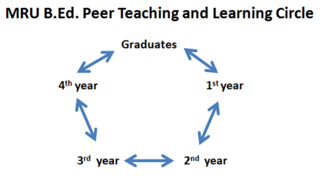 The purpose of this image is to demonstrate how teacher candidates provide peer support in all four years of the program