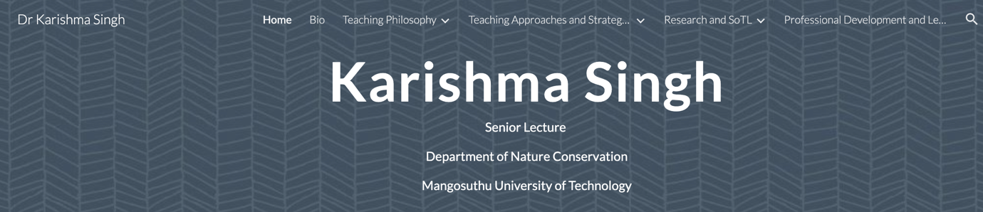 The purpose of this image is to demonstrate a horizontal menu of an ePortfolio