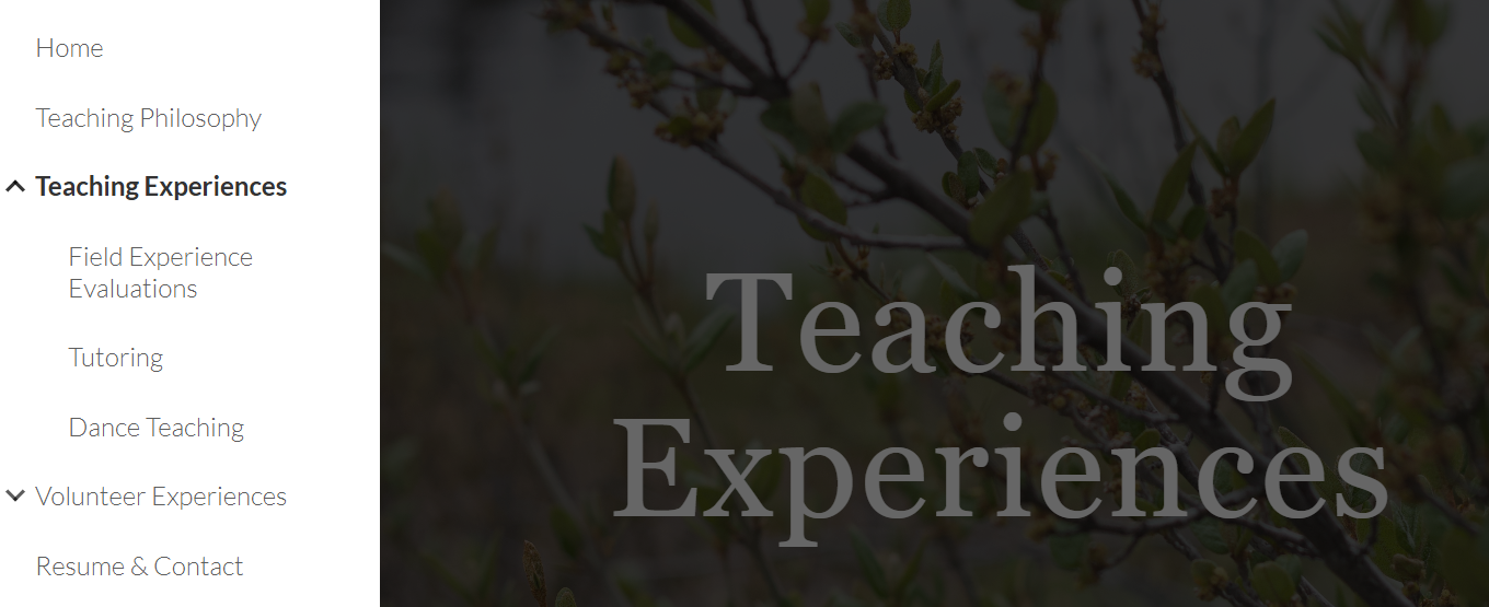 The purpose of this image is to illustrate the home page of a student's eCareer Portfolio