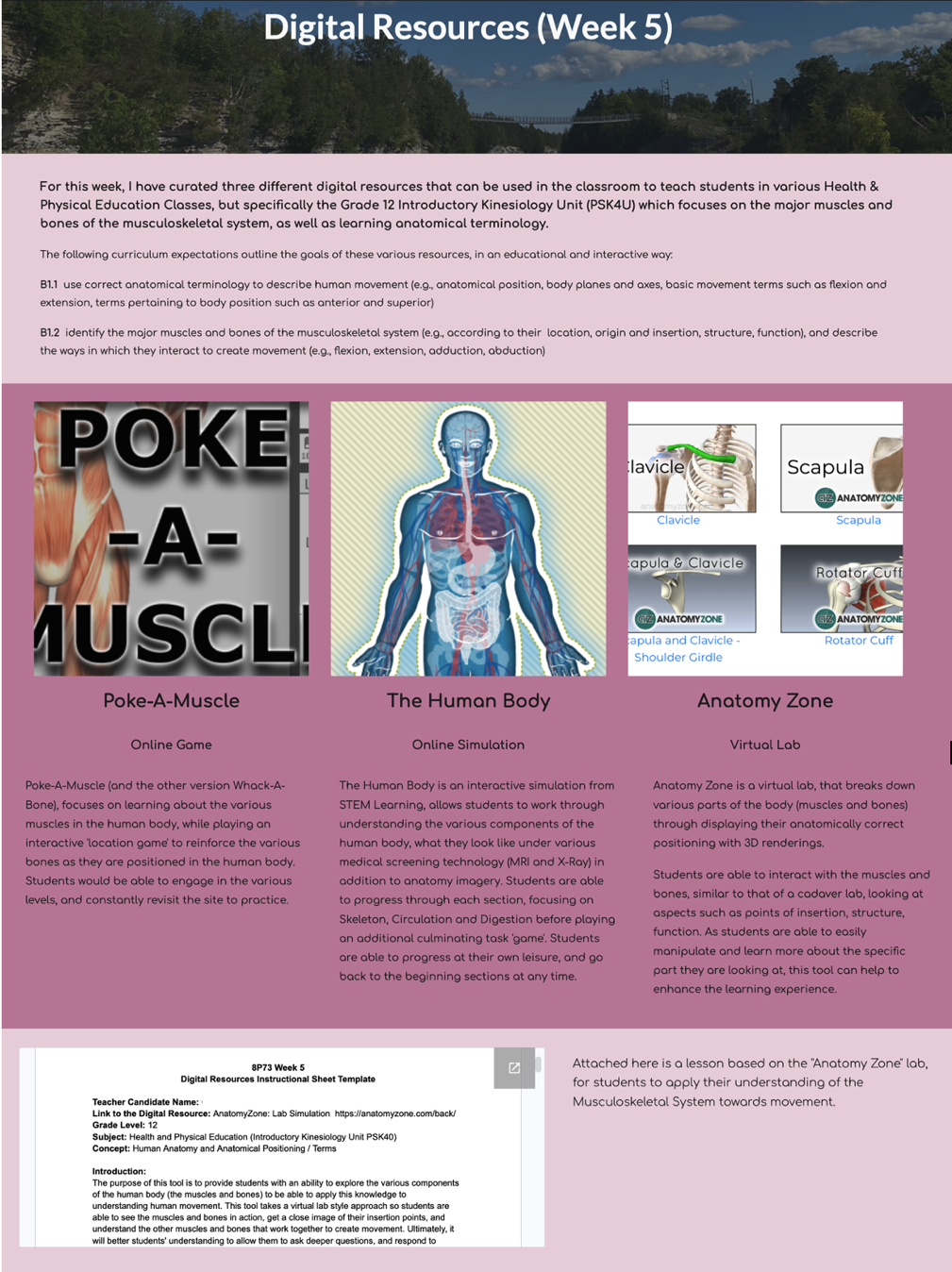 The purpose of this image is to illustrate the Resource section of a teacher candidate's ePortfolio