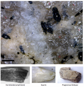 Figure I6: A close-up view of the rock granite and some of the minerals that it typically contains (H = hornblende (amphibole), Q = quartz and F = feldspar). The crystals range from about 0.1 to 3 millimetres (mm) in diameter. Most are irregular in outline, but some are rectangular.