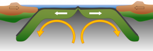 Figure 1.1.5: A representation of Harold Hess’s model for seafloor spreading and subduction.