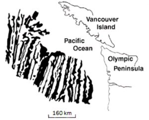 Figure 1.1.4: Pattern of seafloor magnetism off of the west coast of British Columbia and Washington.