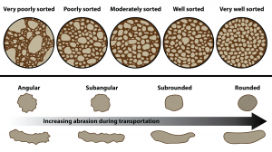 Figure 5.35: A visual reference for descriptions of sorting (top) and roundness (bottom) of sediments and grains in clastic sedimentary rocks. Note that rounded grains are not necessarily spherical in shape! Grain shapes are controlled by both the extent of transportation (and abrasion) and by the physical properties of the grain.