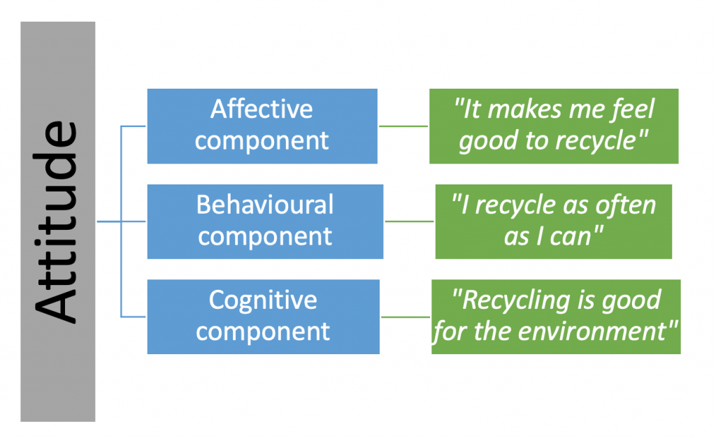 Examples for components of attitudes