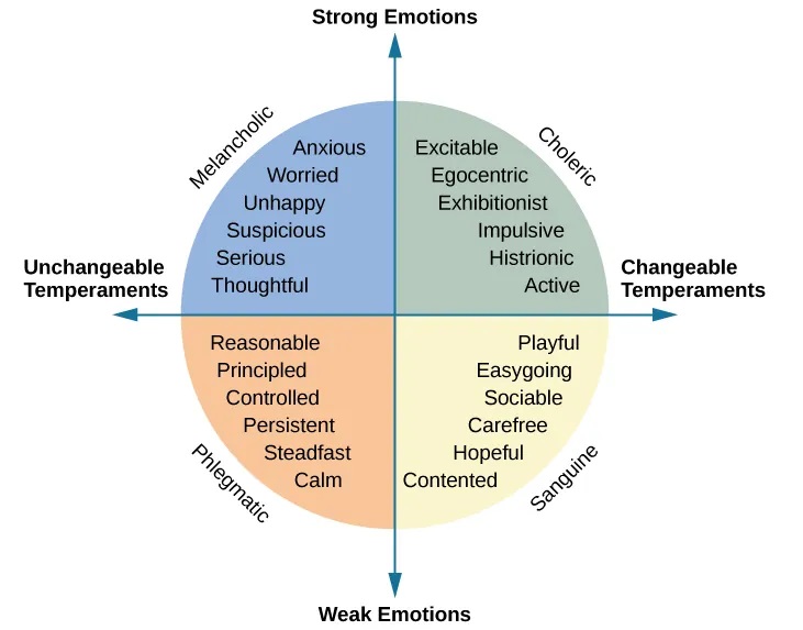 A circle is divided vertically and horizontally into four sections by lines with arrows at the ends. Clockwise from the top, the arrows are labeled “Strong Emotions,” “Changeable Temperaments,” “Weak Emotions,” and “Unchangeable Temperaments.” The arcs around the perimeter of the circle, clockwise beginning with the top right segment are labeled “Choleric,” “Sanguine,” “Phlegmatic,” and “Melancholic.” The sections inside each arc contain descriptive words. Inside the Choleric arc are the words “excitable, egocentric, exhibitionist, impulsive, histrionic, and active.” Inside the Sanguine arc are the words “playful, easygoing, sociable, carefree, hopeful, and contented.” Inside the Phlegmatic arc are the words “reasonable, principled, controlled, persistent, steadfast, and calm.” Inside the Melancholic arc are the words “anxious, worried, unhappy, suspicious, serious, and thoughtful.”