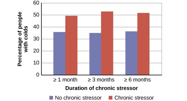 A bar graph shows the relationship between chronic stressors and the percentage of people who developed colds after receiving the cold virus. About 50% of people with chronic stressors for at least one month developed a cold compared to about 35% without chronic stressors. About 52% of people with chronic stressors for at least three months developed a cold compared to about 35% without chronic stressors. About 51% of people with chronic stressors for at least six months developed a cold compared to about 35% without chronic stressors.