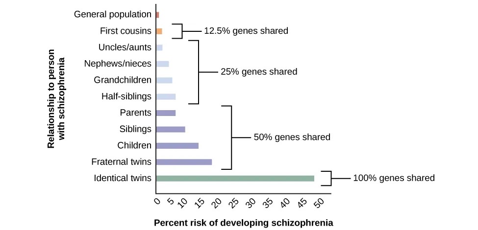 A bar graph has an x-axis labeled “Percent risk of developing schizophrenia” and a y-axis labeled “relationship to person with schizophrenia.” A series of relationships are correlated with the percentage risk, shown with brackets indicating the generic relationship. The general population has a 1% risk. First cousins have 2% risk; they share 12.5% of genes. The next relationships are uncles/aunts, nephews/nieces, grandchildren, and half-siblings; they share 25% of genes and the risk ranges from about 3–6%. The next relationships are parents, siblings, children, and fraternal twins; they share 50% of genes and the risks are about 6, 9, 13, and 17%, respectively. Identical twins share 100% of genes and have about a 48% risk.